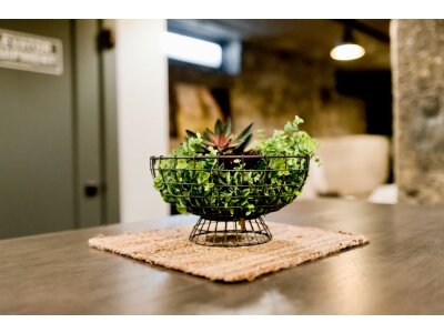 Ciotole decorative
