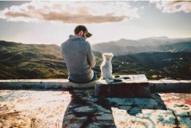 Idee per le foto con il cane - Fotografare un cane: la migliore foto del vostro cane