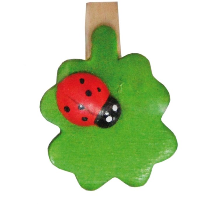 Fermagli per appunti Coccinella su foglia 3,5 cm 8 pezzi