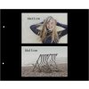 Goldbuch Album a vite Bella Vista blu 30x25 cm 40 pagine nere