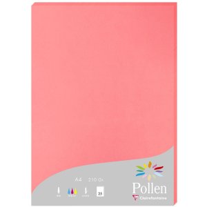 25 fogli di carta Pollen, DIN A4, 210g lychee