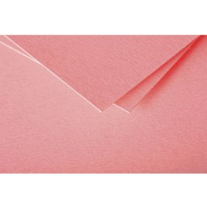 25 fogli di carta Pollen, DIN A4, 210g lychee