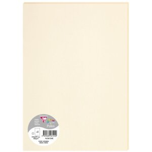 5 fogli polline DIN A4 120 g - avorio