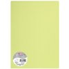 5 fogli di polline DIN A4 120 g - verde bottone