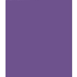 Rotolo di carta kraft colorata, 300x70cm, 70g viola