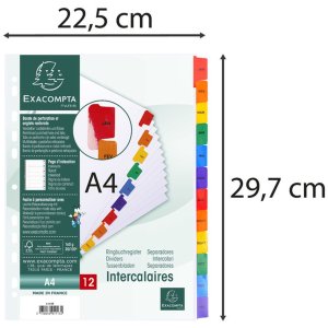 Exacompta Registro din a4 con 12 schede
