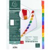 Exacompta Registro din a4 con 12 schede