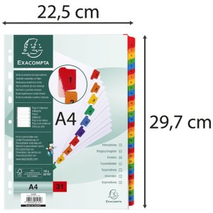 Indice 31 pezzi a4+ cartone 20 pezzi 160g Bianco