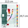 Indice 31 pezzi a4+ cartone 20 pezzi 160g Bianco