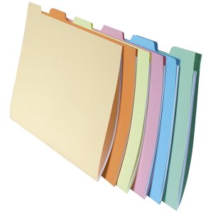 Confezione da 10x6 cartelline SUPER 210, 24x32cm per...