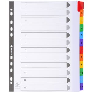 Exacompta Registro din a4 con 12 schede