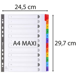 Exacompta Registro din a4 con 12 schede