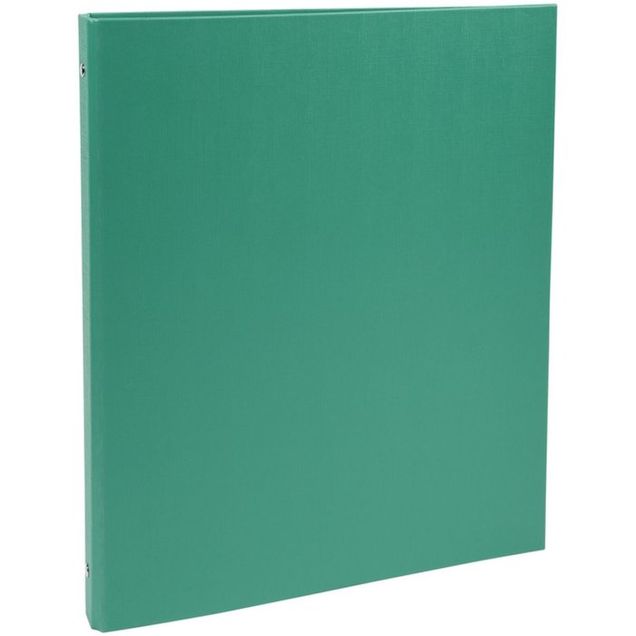Exacompta, dorso del raccoglitore ad anelli 20 mm A4 verde