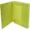 Scatola darchivio Exabox in PP riciclato 700? dorso 40mm con etichetta Forever, DIN A4 verde agrumi