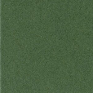 HNFD Passepartout pronto 28 x 35 cm su 18 x 24 cm verde