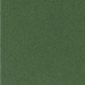HNFD Passepartout pronto 30 x 40 cm su 20 x 30 cm verde