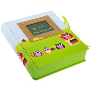 Scatola della scuola da collezione Gufo Scatola del tempo della scuola da collezione