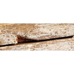 Walther Portafoto in legno Dupla 15x20 cm bianco-natura