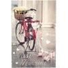 Artebene Card Just Married Bicicletta