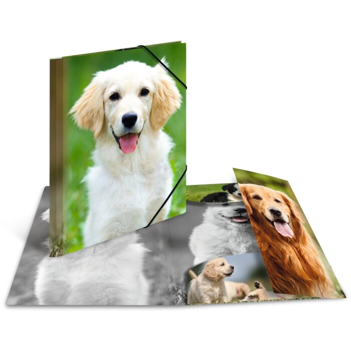 Cartella postale A4 con elastico cane