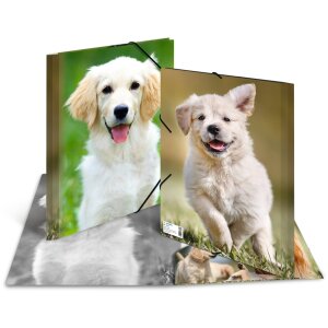 Cartella postale A4 con elastico cane
