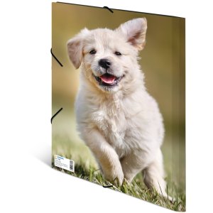 Cartella postale A4 con elastico cane