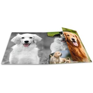 Cartella postale A4 con elastico cane