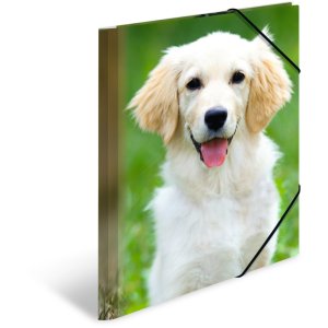 Cartella postale A4 con elastico cane