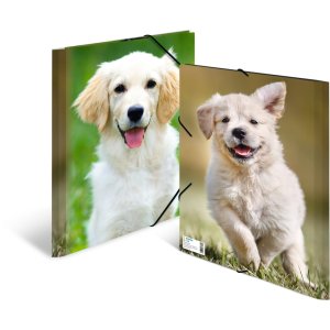 Cartella postale A4 con elastico cane