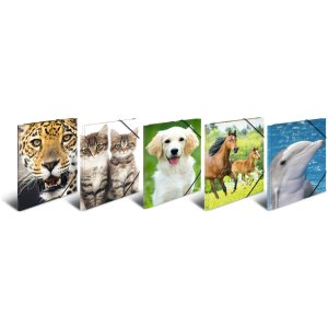 Cartella postale A4 con elastico cane
