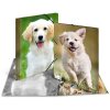 Cartella postale A4 con elastico cane