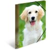 Cartella postale A4 con elastico cane
