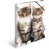 Cartella postale A3 con elastico gattino