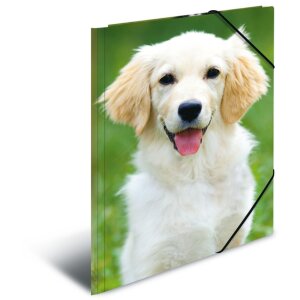 Cartella postale A3 con elastico cane