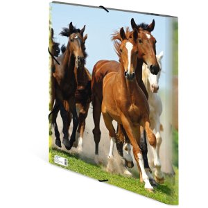 Cartella postale A3 con elastico Cavalli