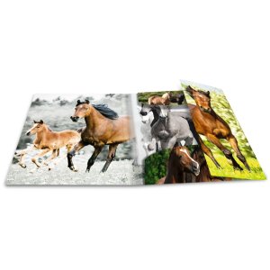 Cartella postale A3 con elastico Cavalli