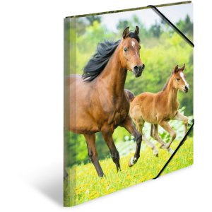 Cartella postale A3 con elastico Cavalli