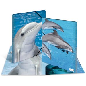 Cartella postale A3 con elastico delfino