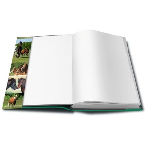 hermäx protezione per libri cavallo 265 x 540 mm