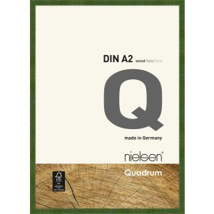 Cornice in legno a clip Quadrum 42x60 cm verde