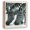 Album WILD LIFE 100 foto 11x16 cm
