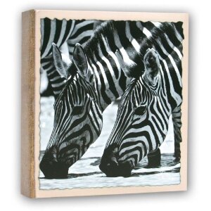WILD LIFE Stock Album 200 foto 13x19 cm
