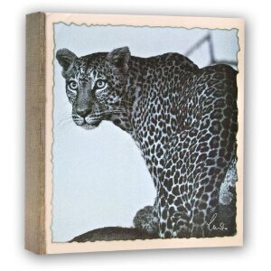 WILD LIFE Stock Album 200 foto 13x19 cm
