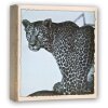 WILD LIFE Stock Album 200 foto 13x19 cm