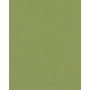 Passepartout 15x20 cm - 10x15 cm Verde Salvia
