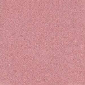 Passepartout 15x20 cm - 10x15 cm Lampone