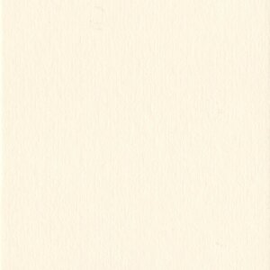 Passepartout 20x40 cm - 10x30 cm Conchiglia