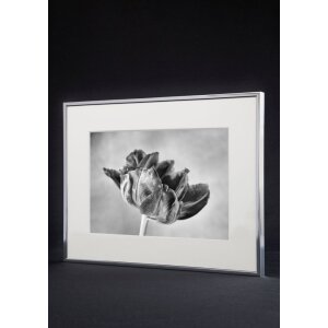 Nielsen Accent Frame Cornice in alluminio da 10x15 cm a...