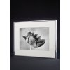 Nielsen Accent Frame Cornice in alluminio da 10x15 cm a 70x100 cm
