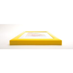 Telaio in plastica Trendstyle Walther